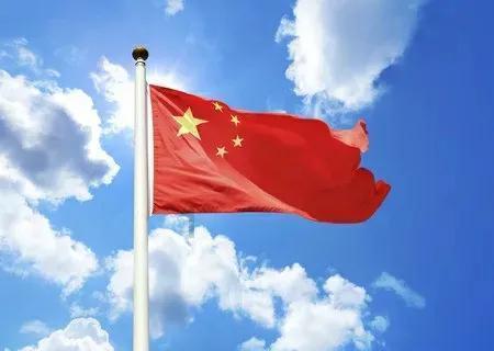 小仓鼠吃瓜子
